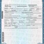 Birth Certificate