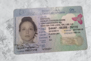 Buy Canadian Driver’s License