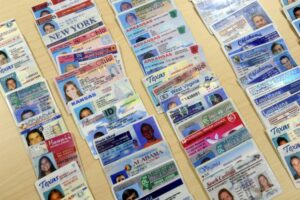 west-virginia-fake drivers license